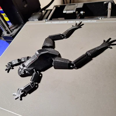 Mô hình ếch khớp nối linh hoạt (Flexible Articulated Frog)