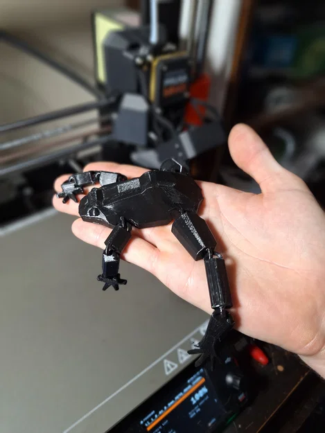 Mô hình ếch khớp nối linh hoạt (Flexible Articulated Frog) - Image 4