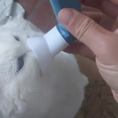 Bộ chuyển đổi bình xịt hen suyễn cho mèo in 3D