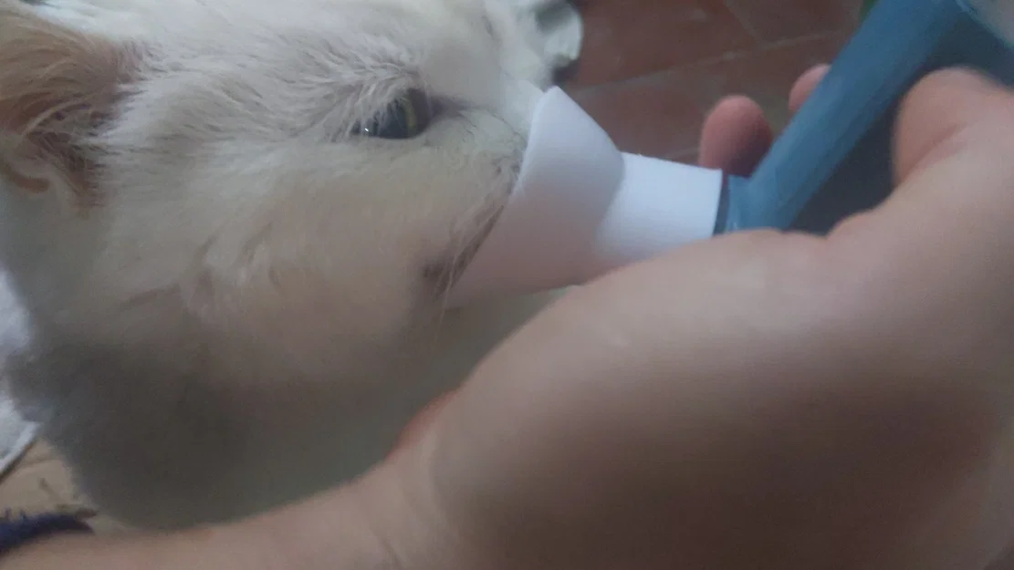 Bộ chuyển đổi bình xịt hen suyễn cho mèo in 3D - Image 3