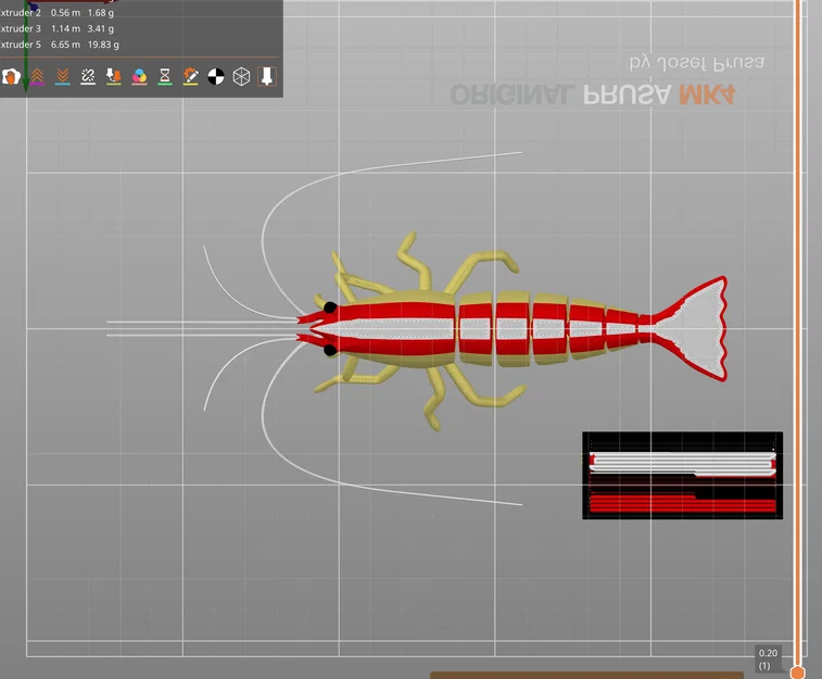 Mô hình tôm 3D Articulated Cleaner Shrimp đa sắc (MMU) - Image 1
