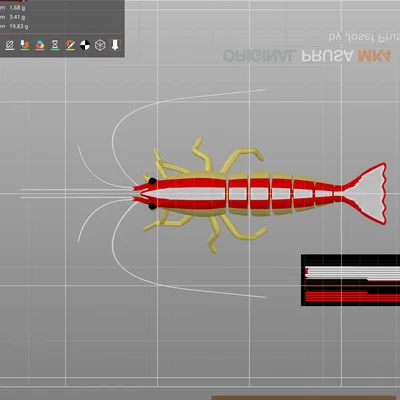 Mô hình tôm 3D Articulated Cleaner Shrimp đa sắc (MMU)