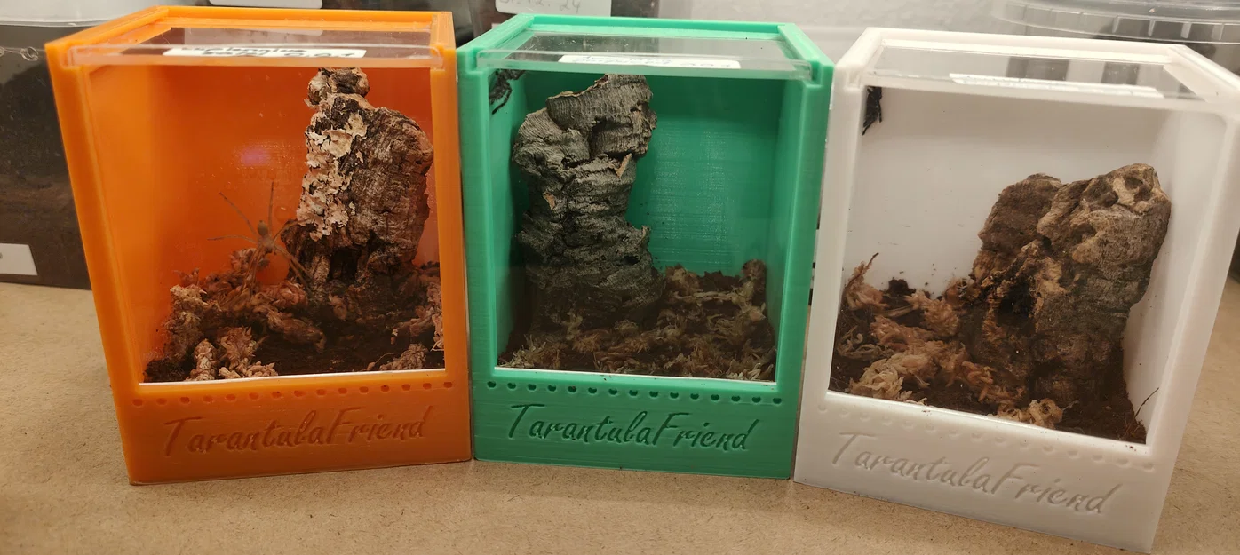 Mẫu Terrarium Nhỏ Cho Nhện - Image 1