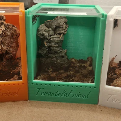 Mẫu Terrarium Nhỏ Cho Nhện