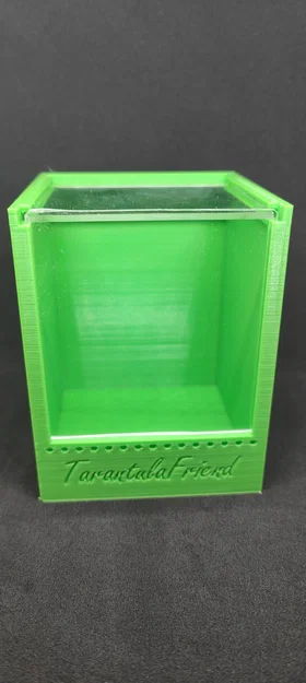 Mẫu Terrarium Nhỏ Cho Nhện - Image 2