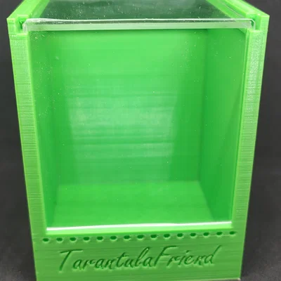 Mẫu Terrarium Nhỏ Cho Nhện