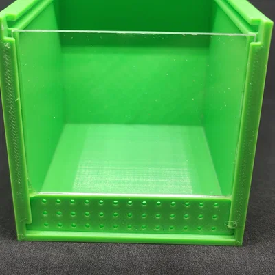 Mẫu Terrarium Nhỏ Cho Nhện