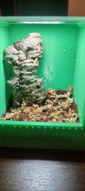 Mẫu Terrarium Nhỏ Cho Nhện - Image 4