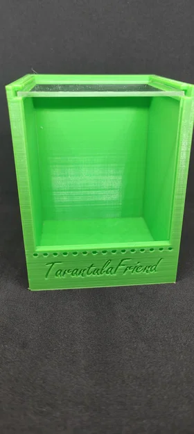 Mẫu Terrarium Nhỏ Cho Nhện - Image 5