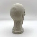 Đầu lâu quỷ gào thét (Screaming Evil Skull) - Mẫu in 3D kinh dị - Thumbnail 4