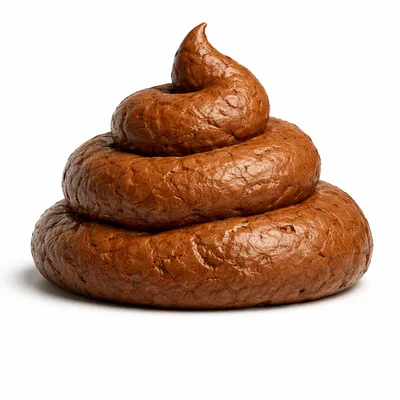 Mô hình Pile of Poop vui nhộn - In 3D giải trí cực dễ