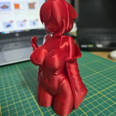 Mô hình nhân vật anime gợi cảm - Bản in 3D sắc nét