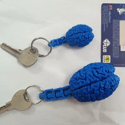 Móc khóa mô hình chụp cộng hưởng từ não bộ (Brain MRI Keychain)