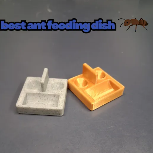 Khay cho kiến ăn tốt nhất (Best Ant Feeding Dish) - Image 1