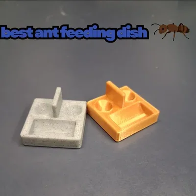Khay cho kiến ăn tốt nhất (Best Ant Feeding Dish)