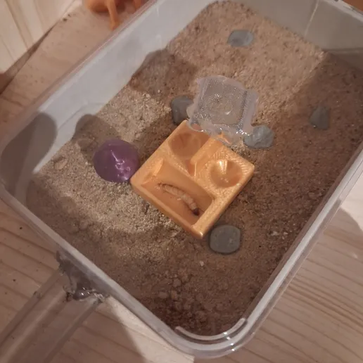 Khay cho kiến ăn tốt nhất (Best Ant Feeding Dish) - Image 4