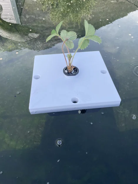 Aquaponie - Giá đỡ cây thủy canh nổi cho hồ nước - Image 2