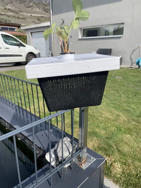 Aquaponie - Giá đỡ cây thủy canh nổi cho hồ nước - Image 3