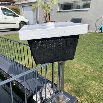 Aquaponie - Giá đỡ cây thủy canh nổi cho hồ nước