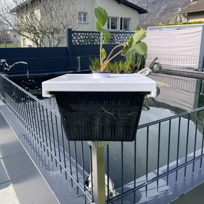 Aquaponie - Giá đỡ cây thủy canh nổi cho hồ nước