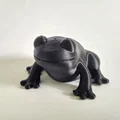 Chú Ếch Mập Ú (Chubby Frog) - Thumbnail 1