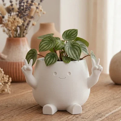 Chậu cây trang trí "Zuki" Peace Planter - Thiết kế dễ thương phong cách Kawaii