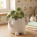 Chậu cây trang trí "Zuki" Peace Planter - Thiết kế dễ thương phong cách Kawaii - Thumbnail 2