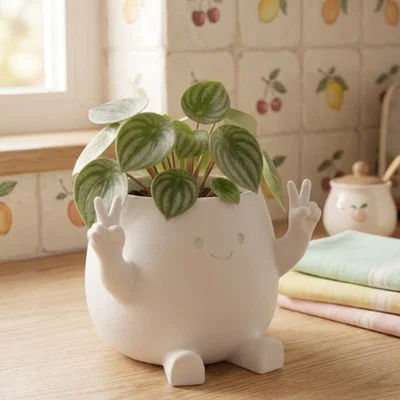 Chậu cây trang trí "Zuki" Peace Planter - Thiết kế dễ thương phong cách Kawaii
