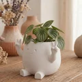 Chậu cây trang trí "Zuki" Peace Planter - Thiết kế dễ thương phong cách Kawaii - Thumbnail 6