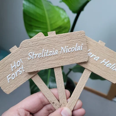 Bảng tên gỗ trang trí chậu cây