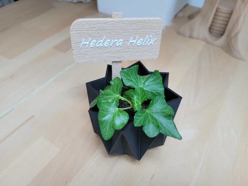 Bảng tên gỗ trang trí chậu cây - Image 2