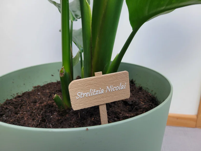 Bảng tên gỗ trang trí chậu cây - Image 3