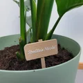 Bảng tên gỗ trang trí chậu cây - Thumbnail 3