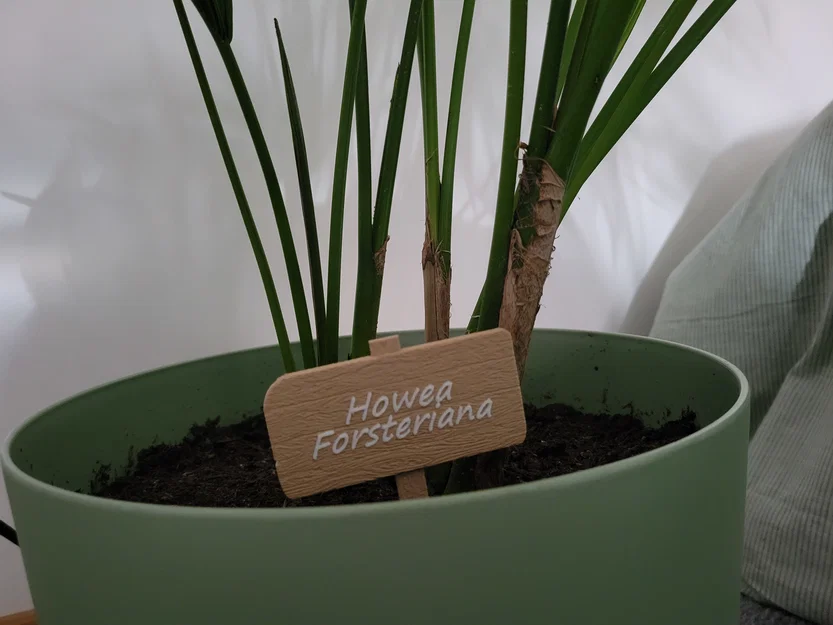 Bảng tên gỗ trang trí chậu cây - Image 4