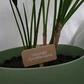 Bảng tên gỗ trang trí chậu cây - Thumbnail 4