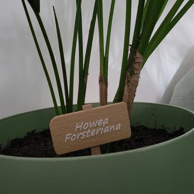 Bảng tên gỗ trang trí chậu cây