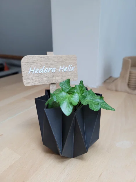 Bảng tên gỗ trang trí chậu cây - Image 6