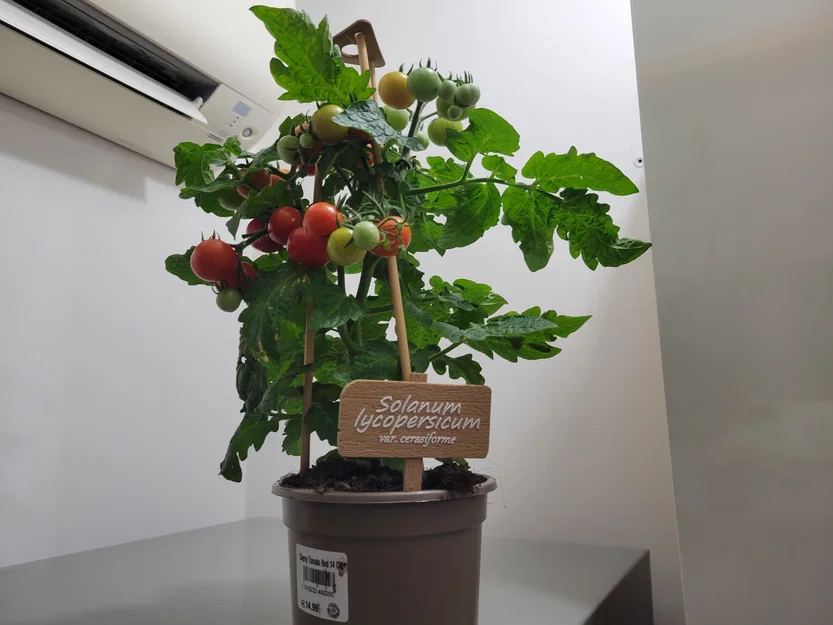 Bảng tên gỗ trang trí chậu cây - Image 7