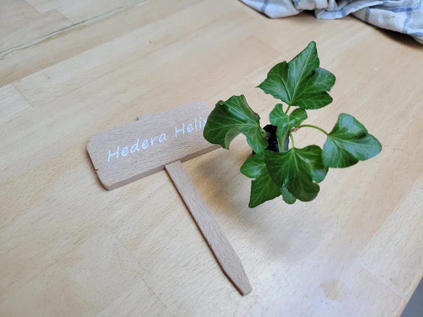 Bảng tên gỗ trang trí chậu cây - Image 8