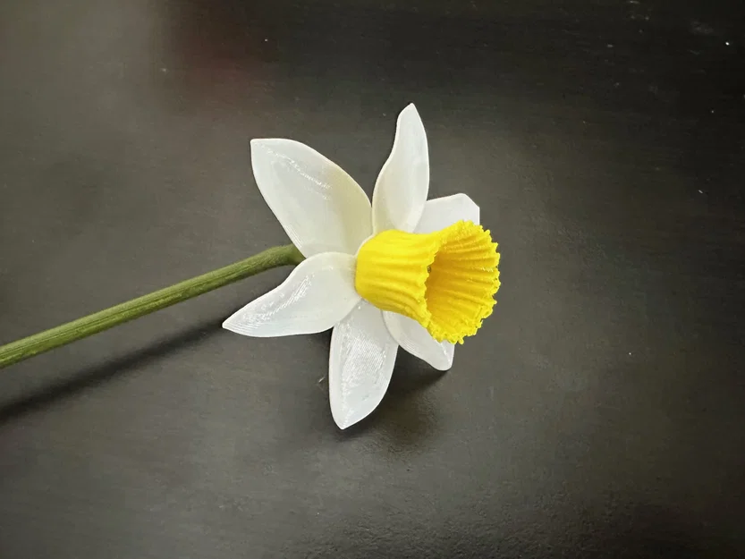 Mô hình hoa thủy tiên (Daffodil) có thể lắp ráp - Image 2