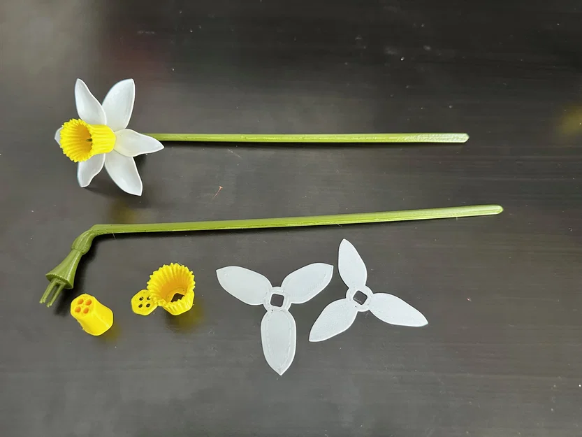 Mô hình hoa thủy tiên (Daffodil) có thể lắp ráp - Image 3