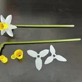 Mô hình hoa thủy tiên (Daffodil) có thể lắp ráp - Thumbnail 3