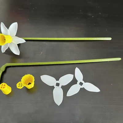 Mô hình hoa thủy tiên (Daffodil) có thể lắp ráp