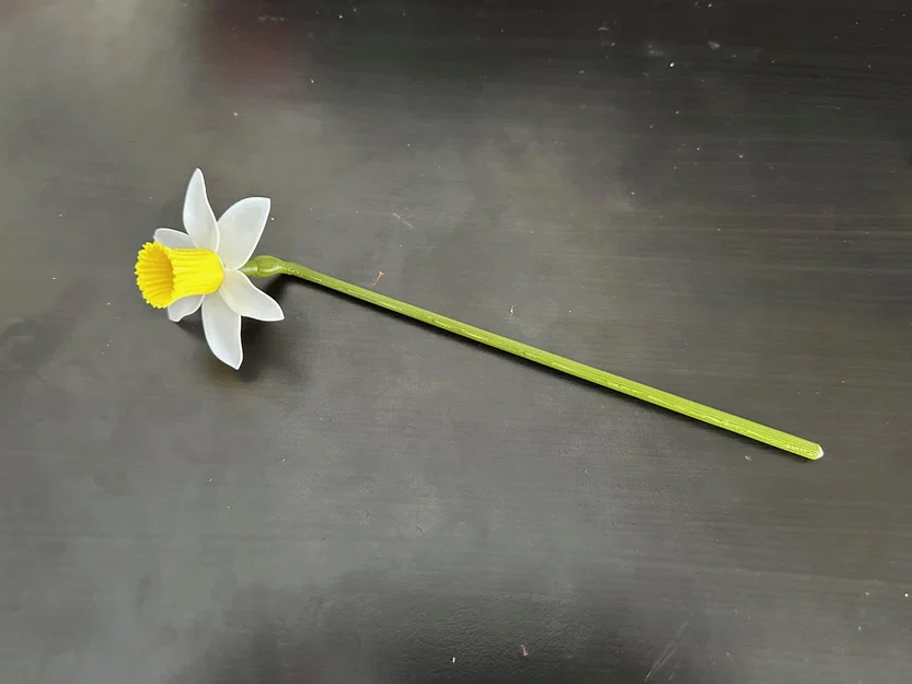 Mô hình hoa thủy tiên (Daffodil) có thể lắp ráp - Image 4