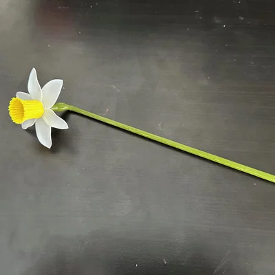 Mô hình hoa thủy tiên (Daffodil) có thể lắp ráp