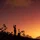 uhli712_1246309
