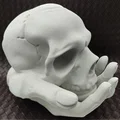 Skull in Hand - Ống heo/Heo đất hình đầu lâu trên bàn tay - Thumbnail 9