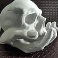 Skull in Hand - Ống heo/Heo đất hình đầu lâu trên bàn tay - Thumbnail 14