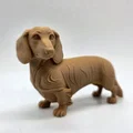 Mô hình chú chó Dachshund lông dài (tư thế đứng) - Thumbnail 1