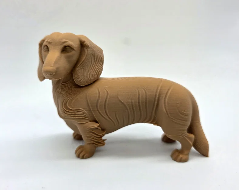 Mô hình chú chó Dachshund lông dài (tư thế đứng) - Image 2